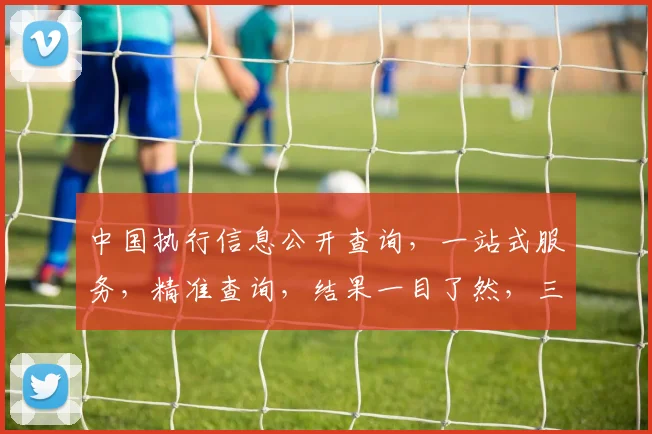 中国执行信息公开查询，一站式服务，精准查询，结果一目了然，三步搞定。