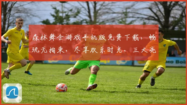 森林舞会游戏手机版免费下载，畅玩无拘束，尽享欢乐时光，三大亮点，不容错过
