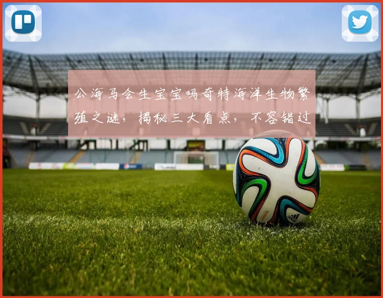 公海马会生宝宝吗奇特海洋生物繁殖之谜，揭秘三大看点，不容错过