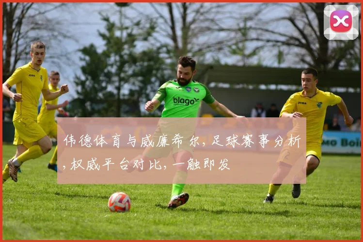 伟德体育与威廉希尔,足球赛事分析,权威平台对比,一触即发