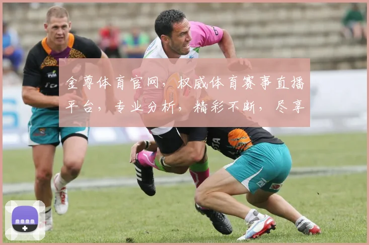 金尊体育官网，权威体育赛事直播平台，专业分析，精彩不断，尽享体育盛宴，不容错过