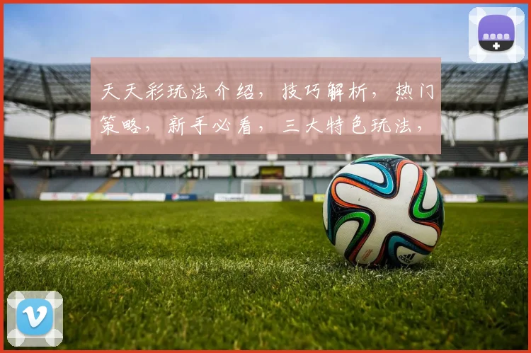 天天彩玩法介绍，技巧解析，热门策略，新手必看，三大特色玩法，轻松中奖攻略
